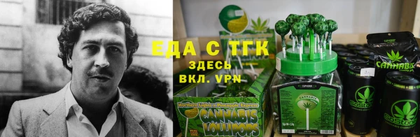 молекула духа Дмитров