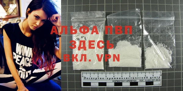 молекула духа Дмитров