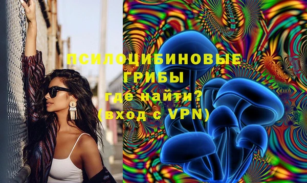 молекула духа Дмитров