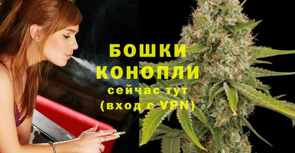 гидра Дмитриев
