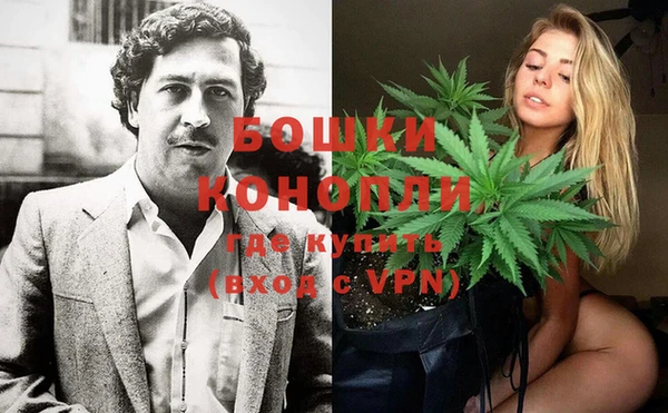 молекула духа Дмитров