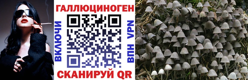 Купить закладки  Карачев  Галлюциногенные грибы GOLDEN TEACHER 